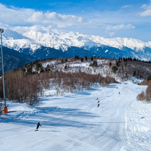 Caucasus Mountains - Georgia