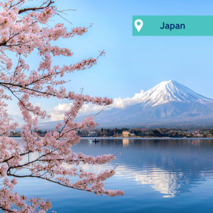 Cherry Blossom Season in Japan