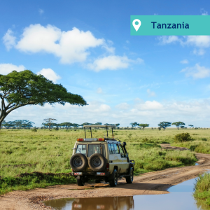 Safari in Tanzania’s Serengeti