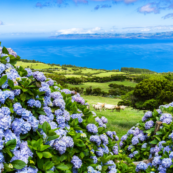 Azore coastline beat the heat